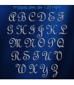 Toutes les lettres majuscules en acier inox 304 brossé en police de caractères « French Script » dimension 120 mm