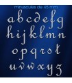 Toutes les lettres minuscules en acier inox 304 brossé en police de caractères « French Script » dimension 45 mm