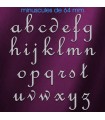 Toutes les lettres minuscules en acier inox 304 brossé en police de caractères « French Script » dimension 64 mm
