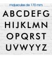 Lettres en Futura 170mm et 115mm