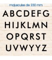 Lettres en Futura 230mm et 150mm